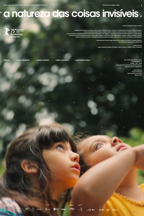 A Natureza das Coisas Invisíveis Movie Poster