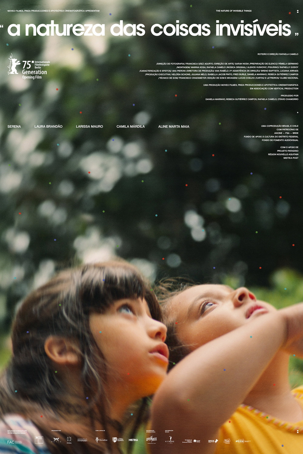 Extra Large Movie Poster Image for A Natureza das Coisas Invisíveis 