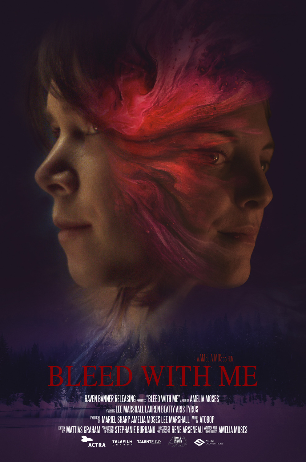 Extra Large Movie Poster Image for Bleed with Me 