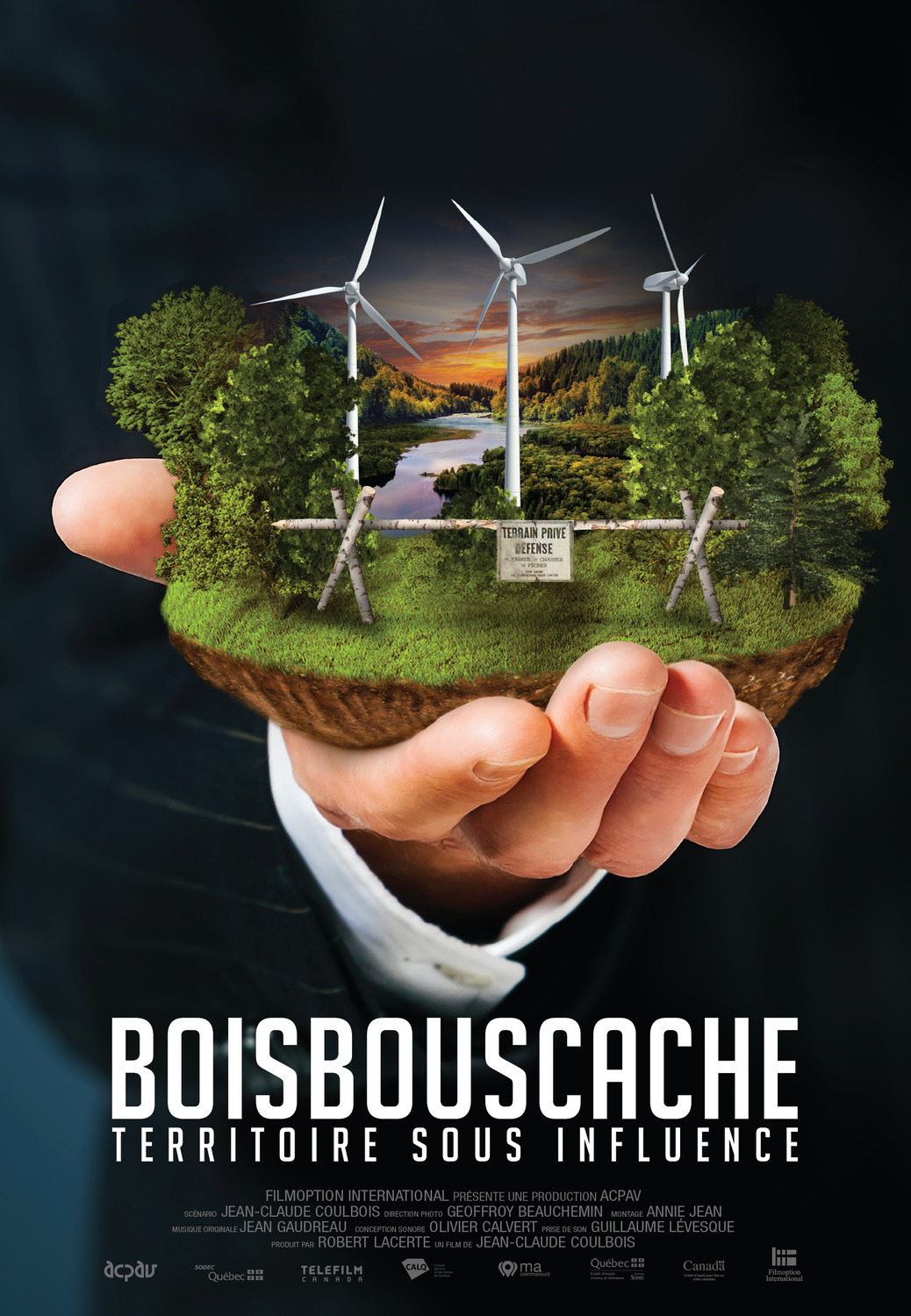 Extra Large Movie Poster Image for Boisbouscache 