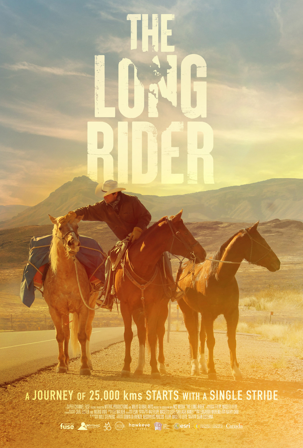 Extra Large Movie Poster Image for The Long Rider 
