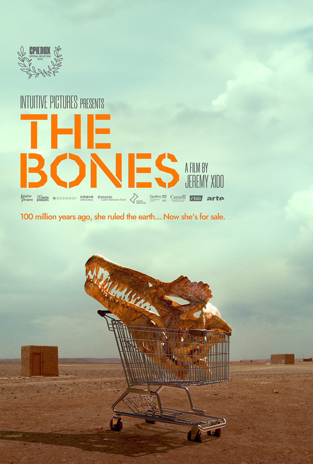 Extra Large Movie Poster Image for The Bones 