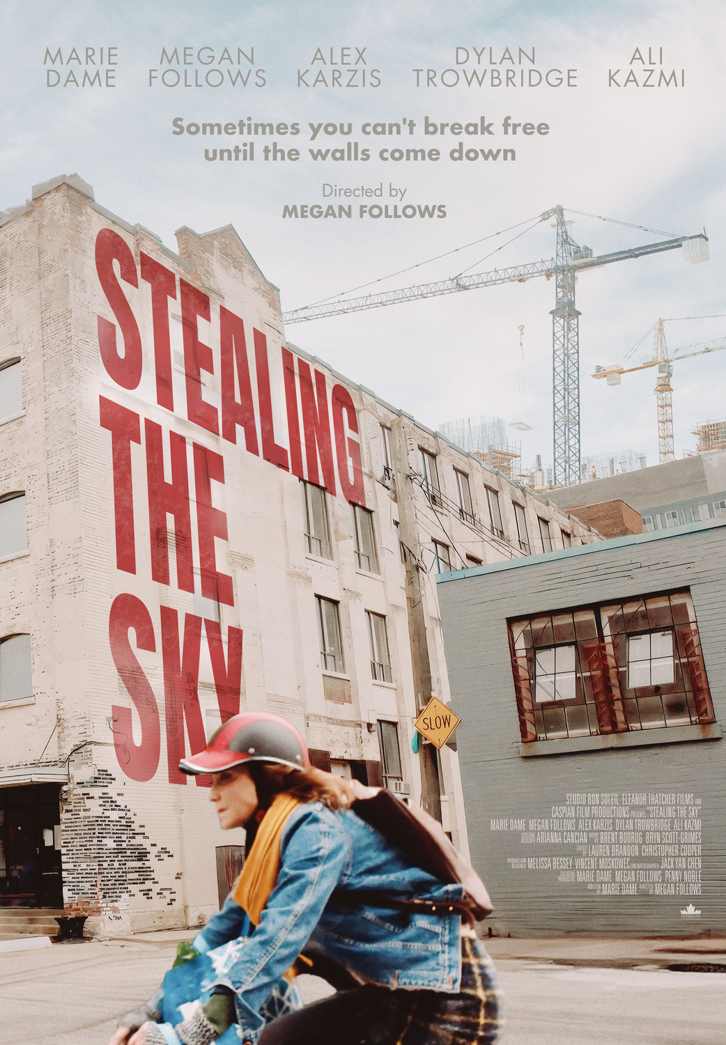 Extra Large Movie Poster Image for Stealing the Sky 