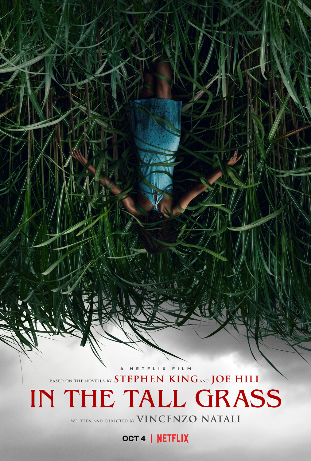 Extra Large TV Poster Image for In the Tall Grass 
