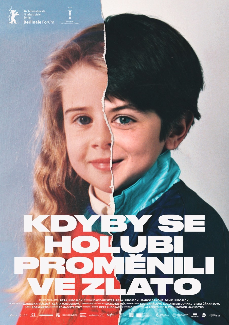 Extra Large Movie Poster Image for Kdyby se holubi promenili ve zlato 