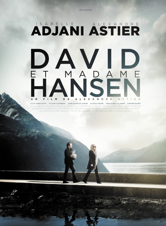David et Madame Hansen Movie Poster
