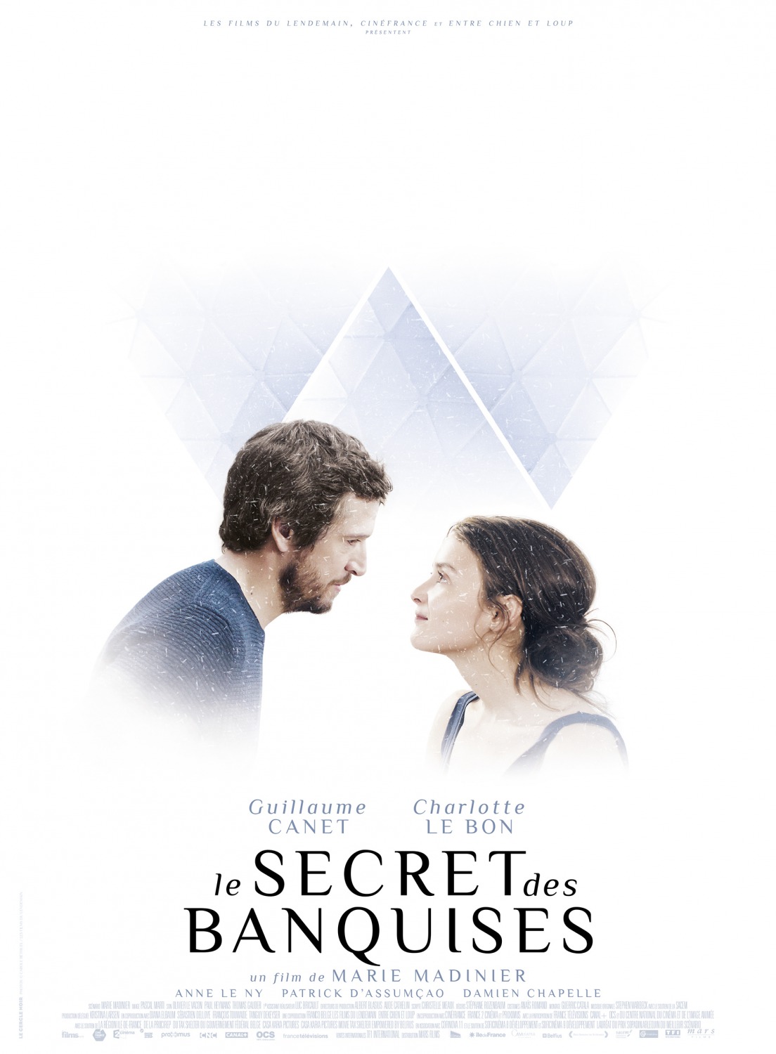 Extra Large Movie Poster Image for Le secret des banquises 