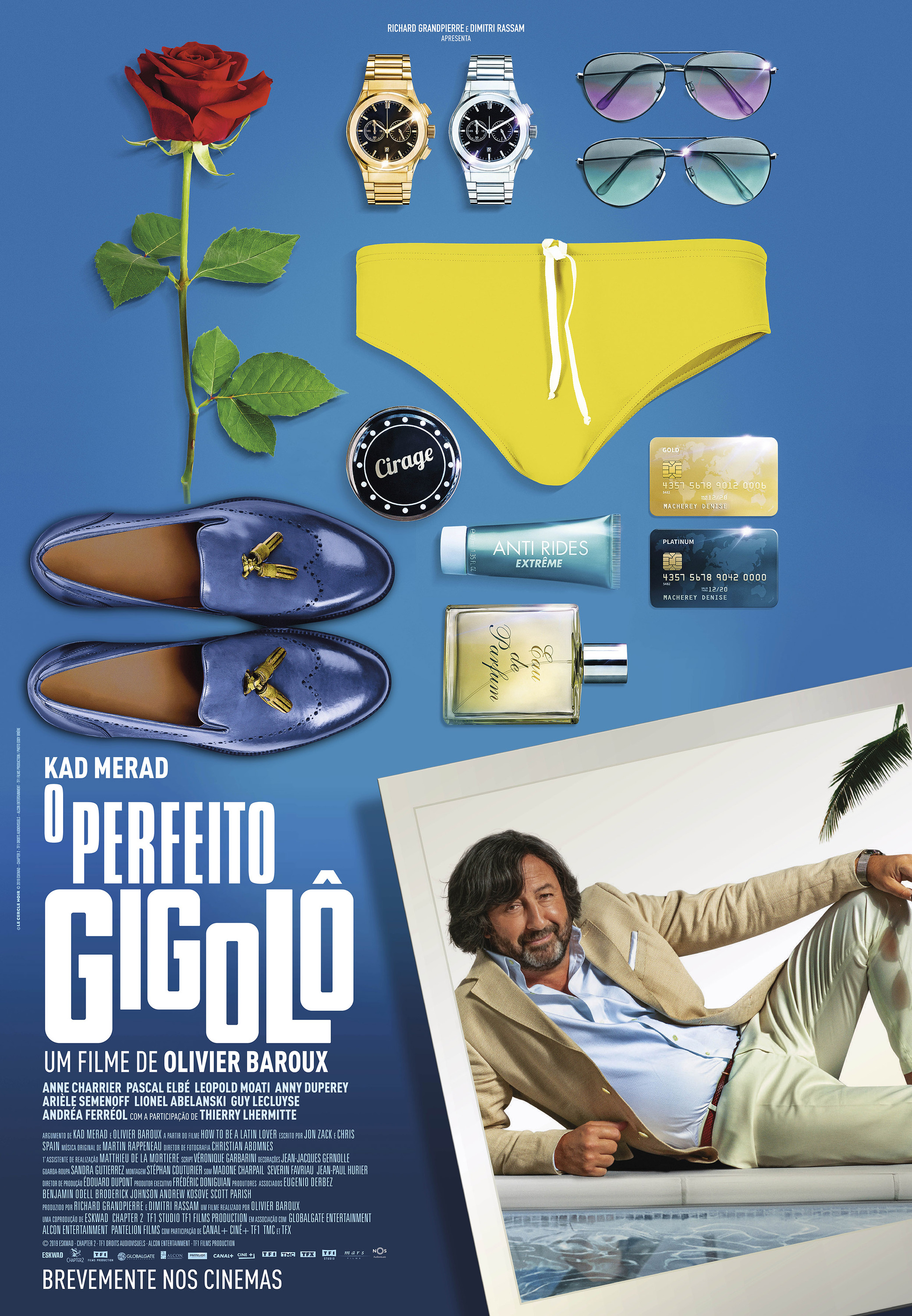 Mega Sized Movie Poster Image for Just a Gigolo (#3 of 3)