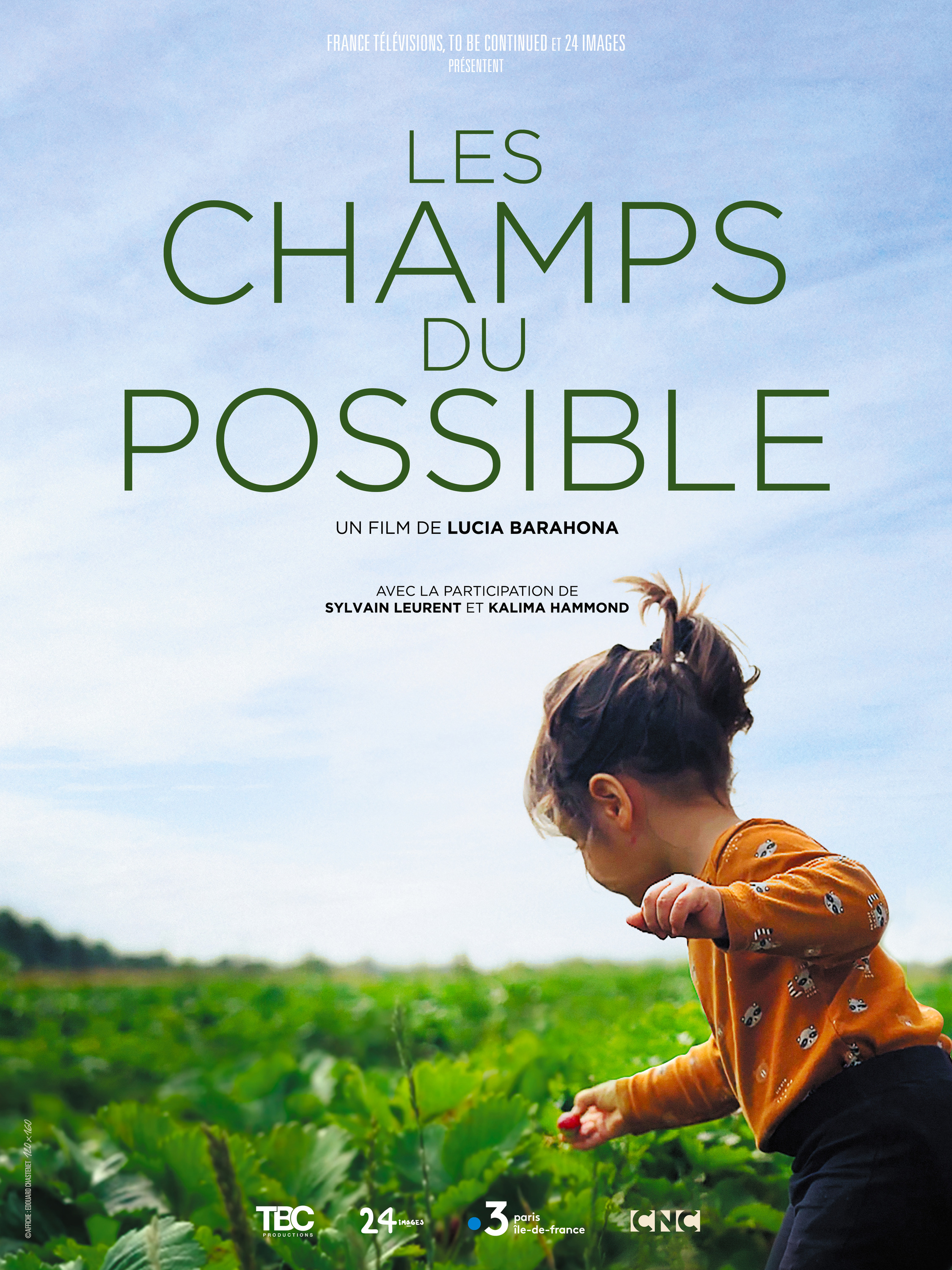 Mega Sized Movie Poster Image for Les Champs du Possible 
