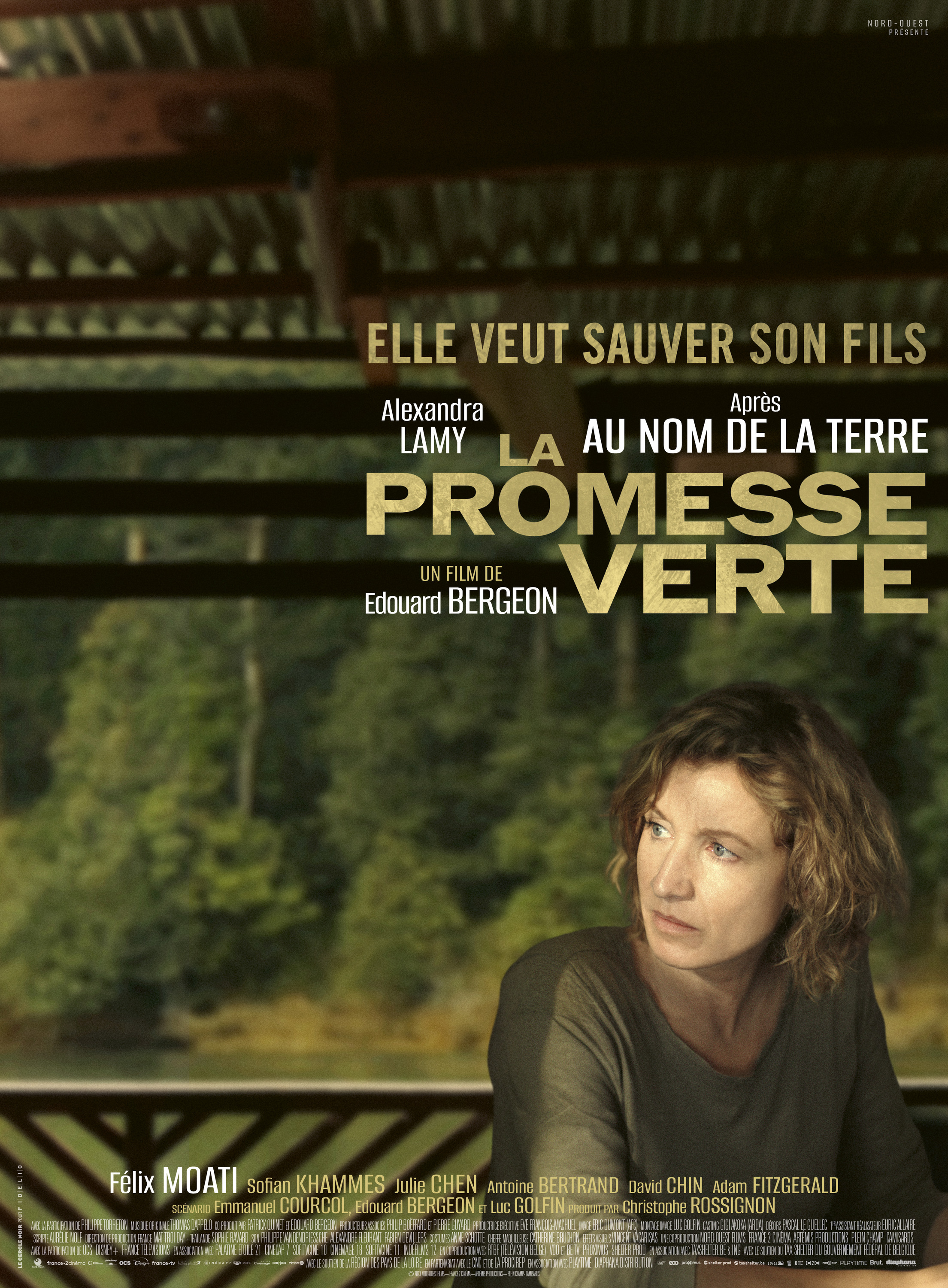 Mega Sized Movie Poster Image for La promesse verte (#2 of 4)