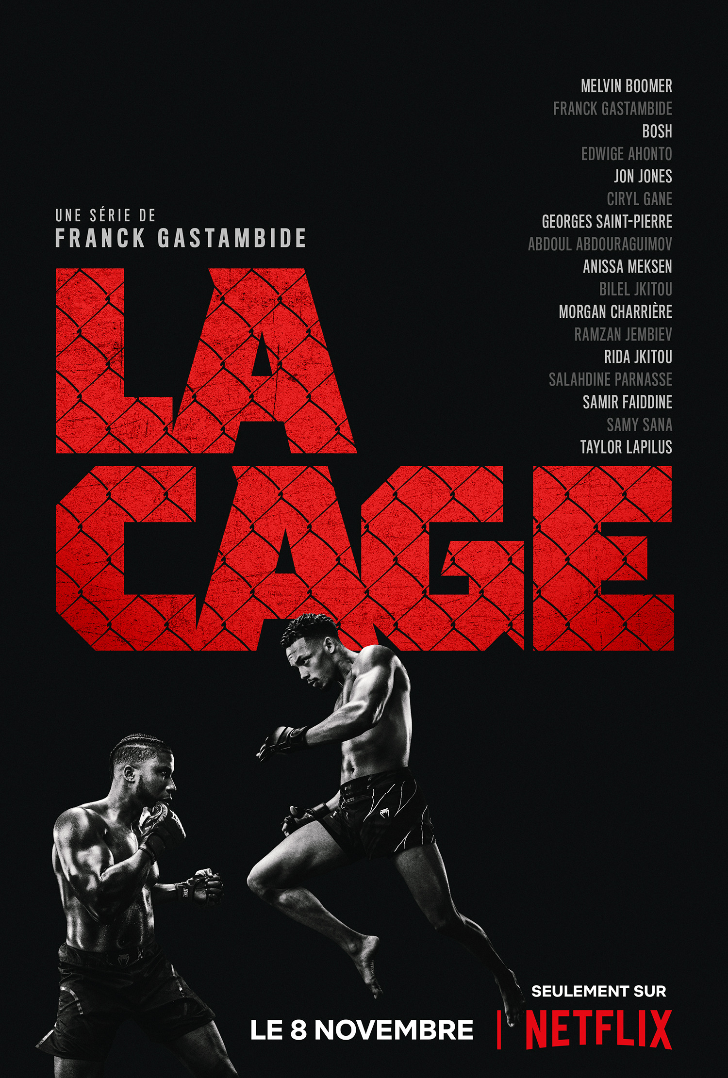 Mega Sized TV Poster Image for La Cage (#2 of 4)