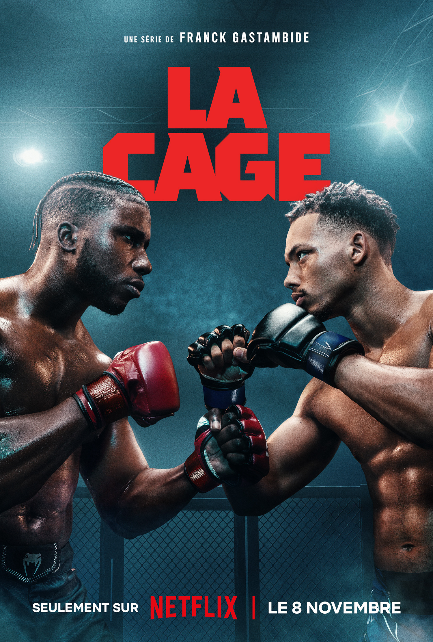 Mega Sized TV Poster Image for La Cage (#3 of 4)