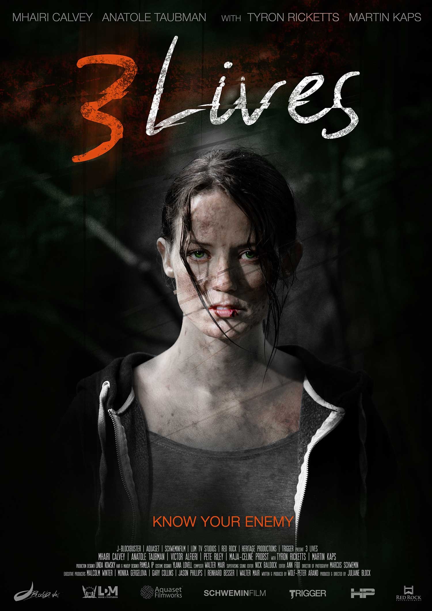 Mega Sized Movie Poster Image for 3 Lives (#1 of 2)