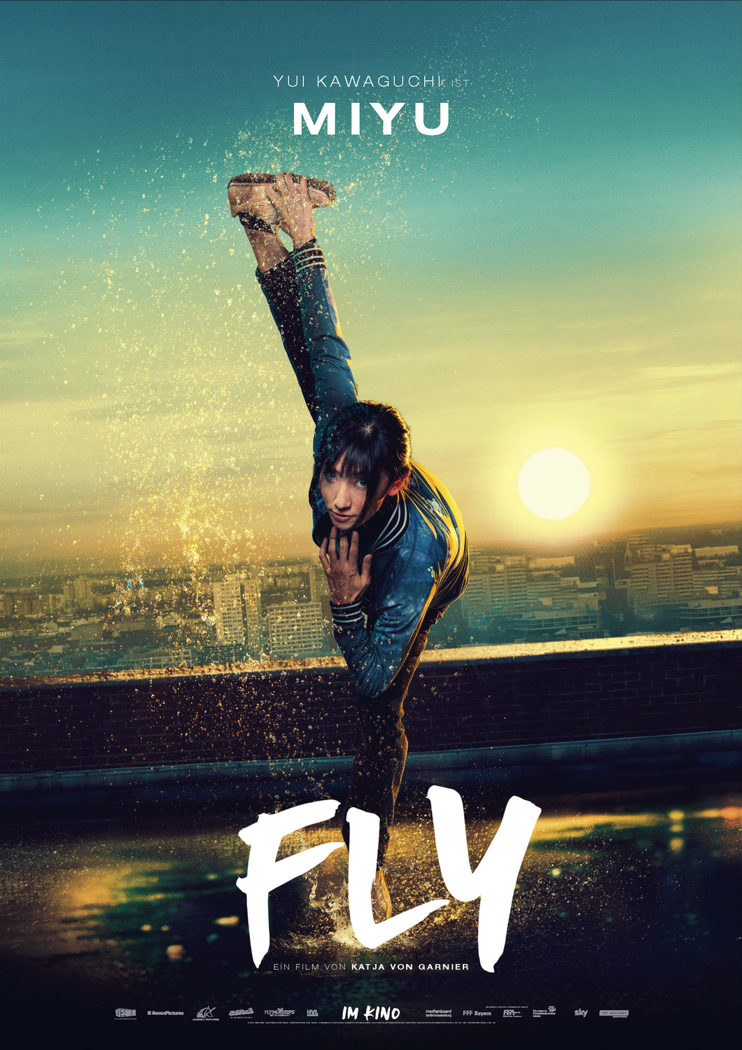 Extra Large Movie Poster Image for Fly (#10 of 11)