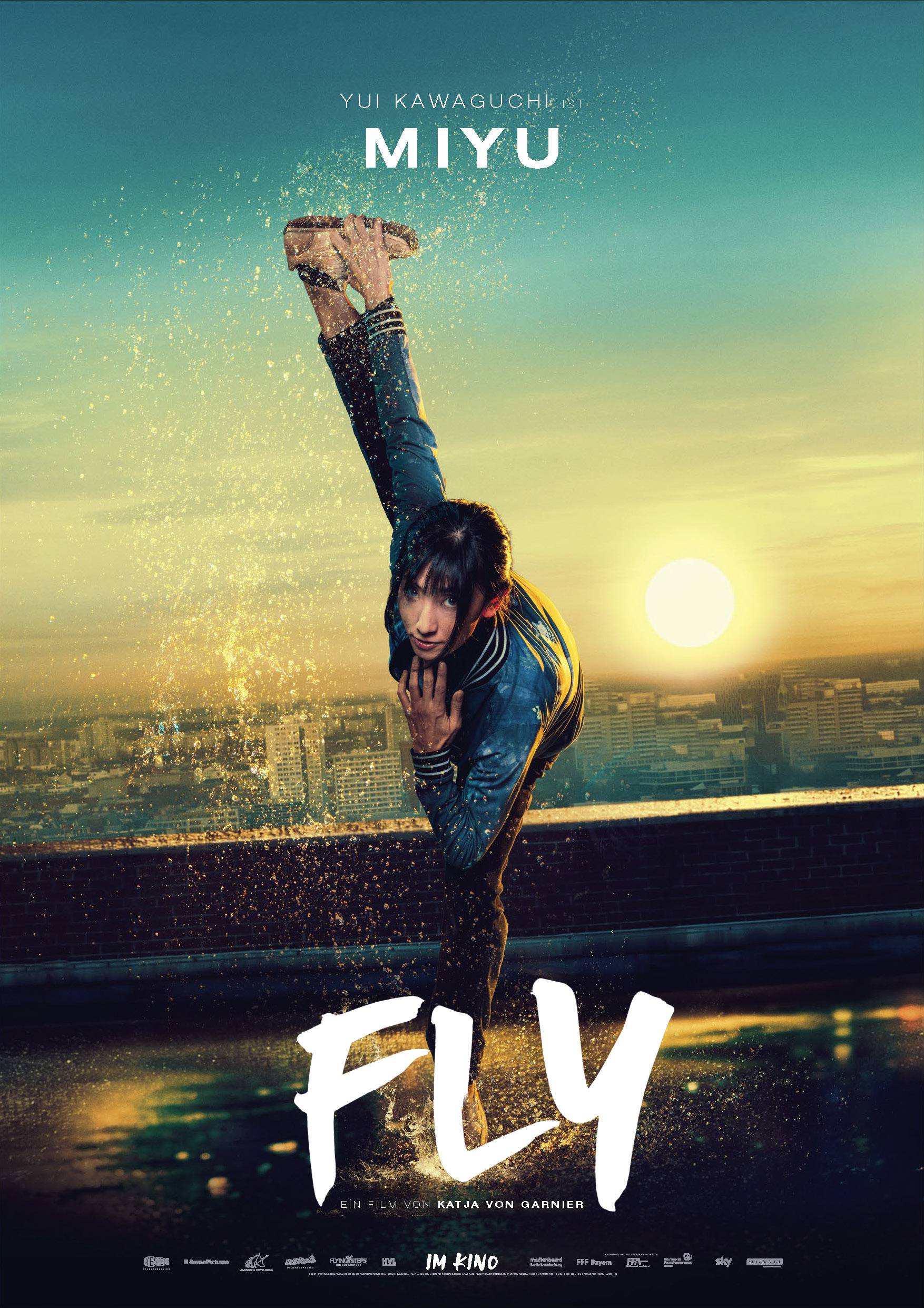 Mega Sized Movie Poster Image for Fly (#10 of 11)