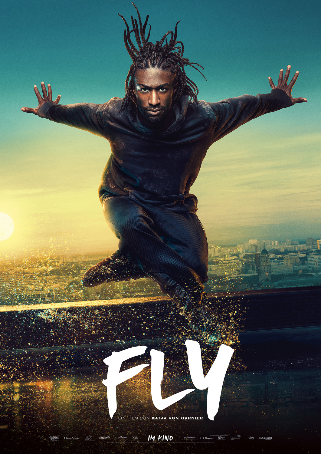 Extra Large Movie Poster Image for Fly (#2 of 11)