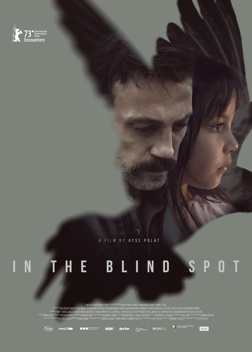 Extra Large Movie Poster Image for In The Blind Spot 
