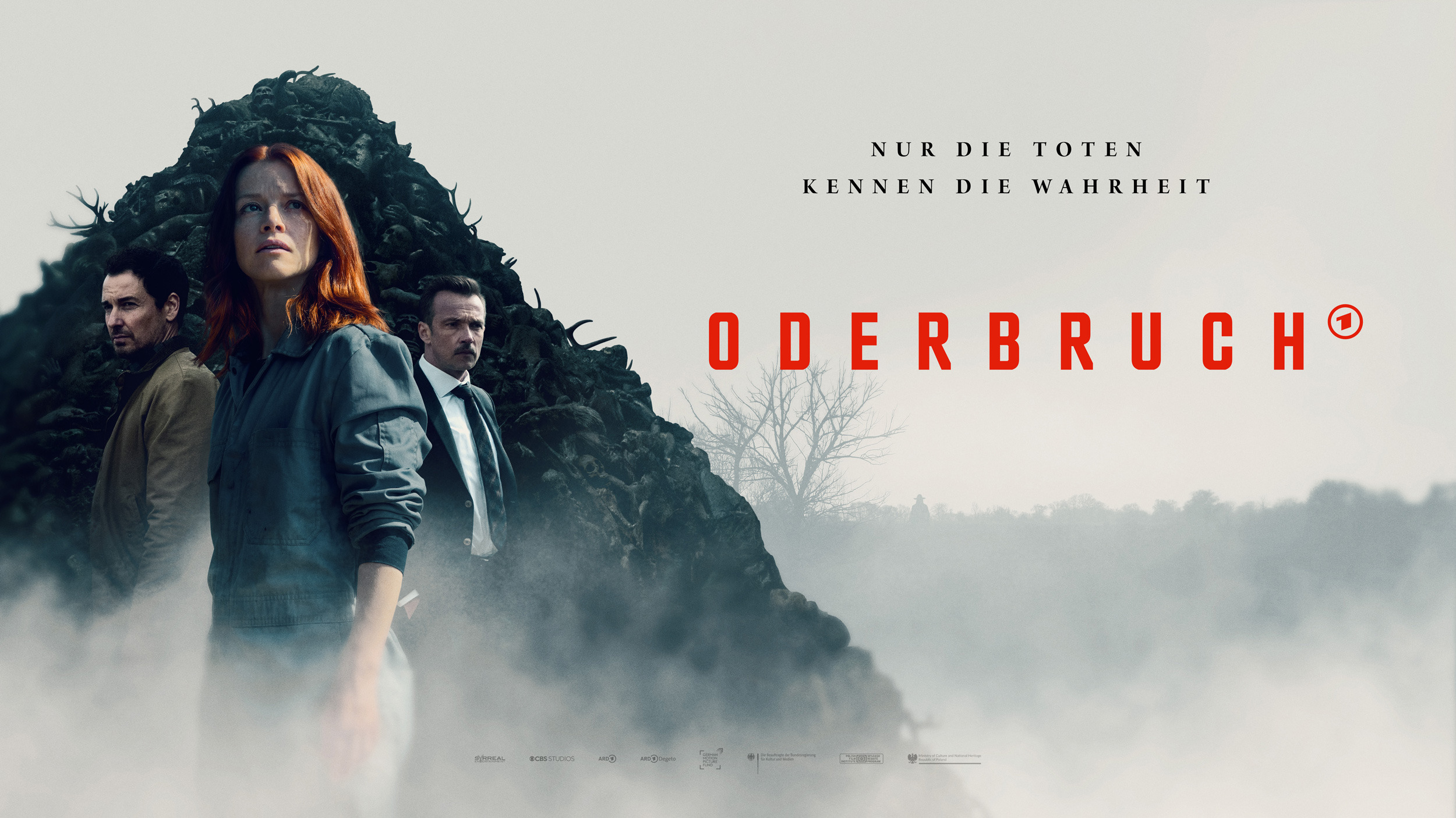 Mega Sized TV Poster Image for Oderbruch (#5 of 5)