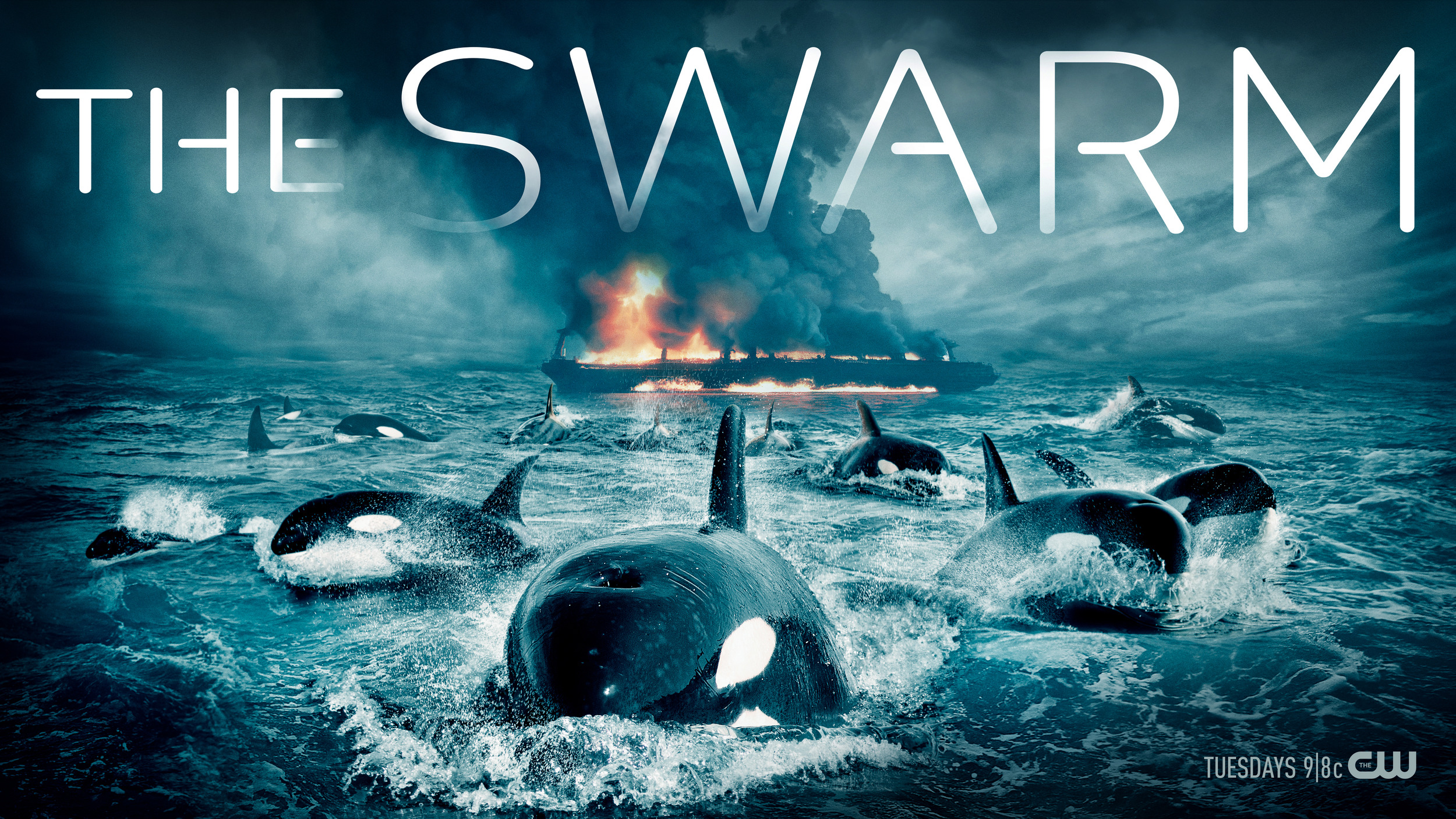 Mega Sized TV Poster Image for The Swarm (#2 of 3)