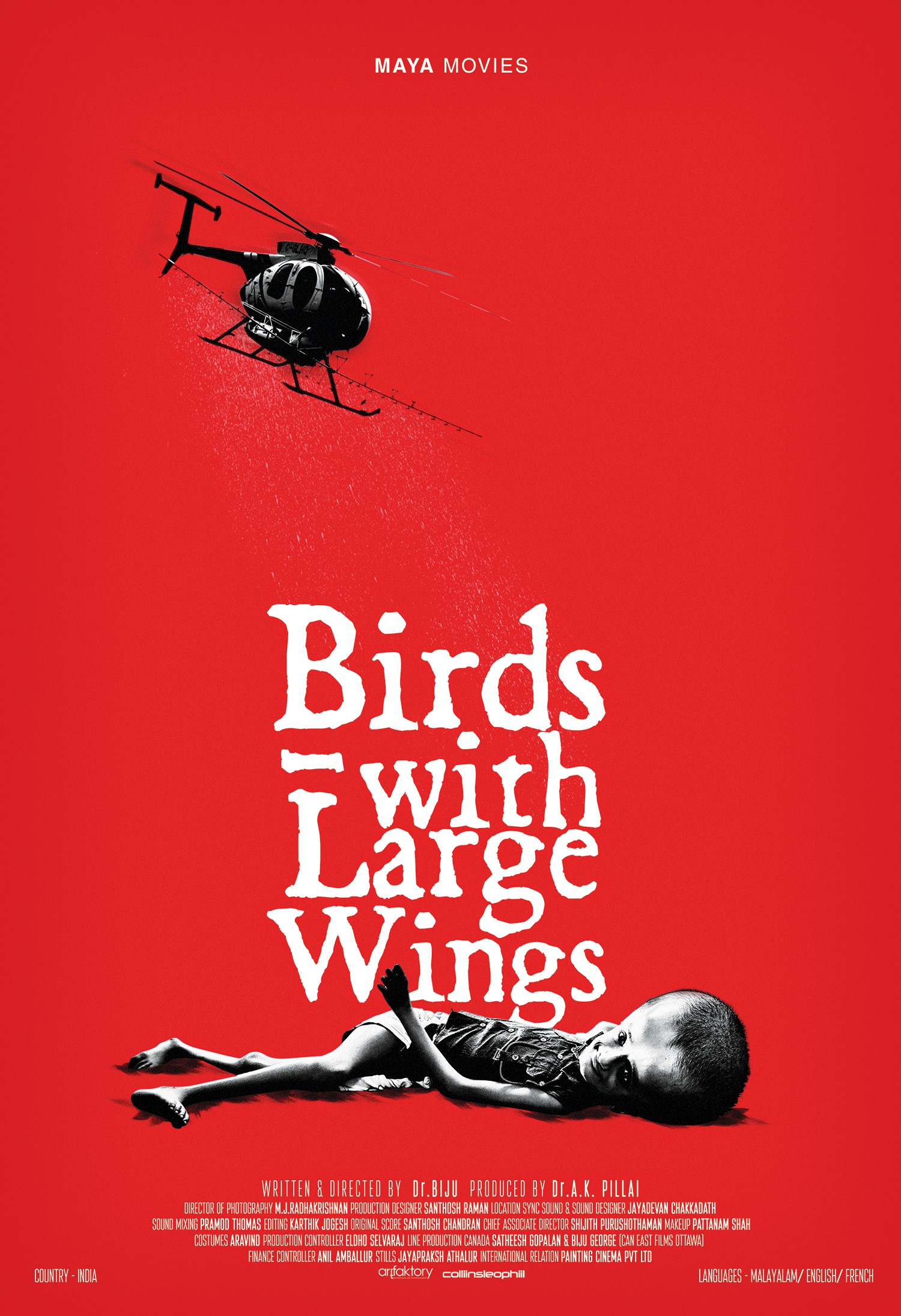 Mega Sized Movie Poster Image for Birds with Large Wings (#1 of 2)