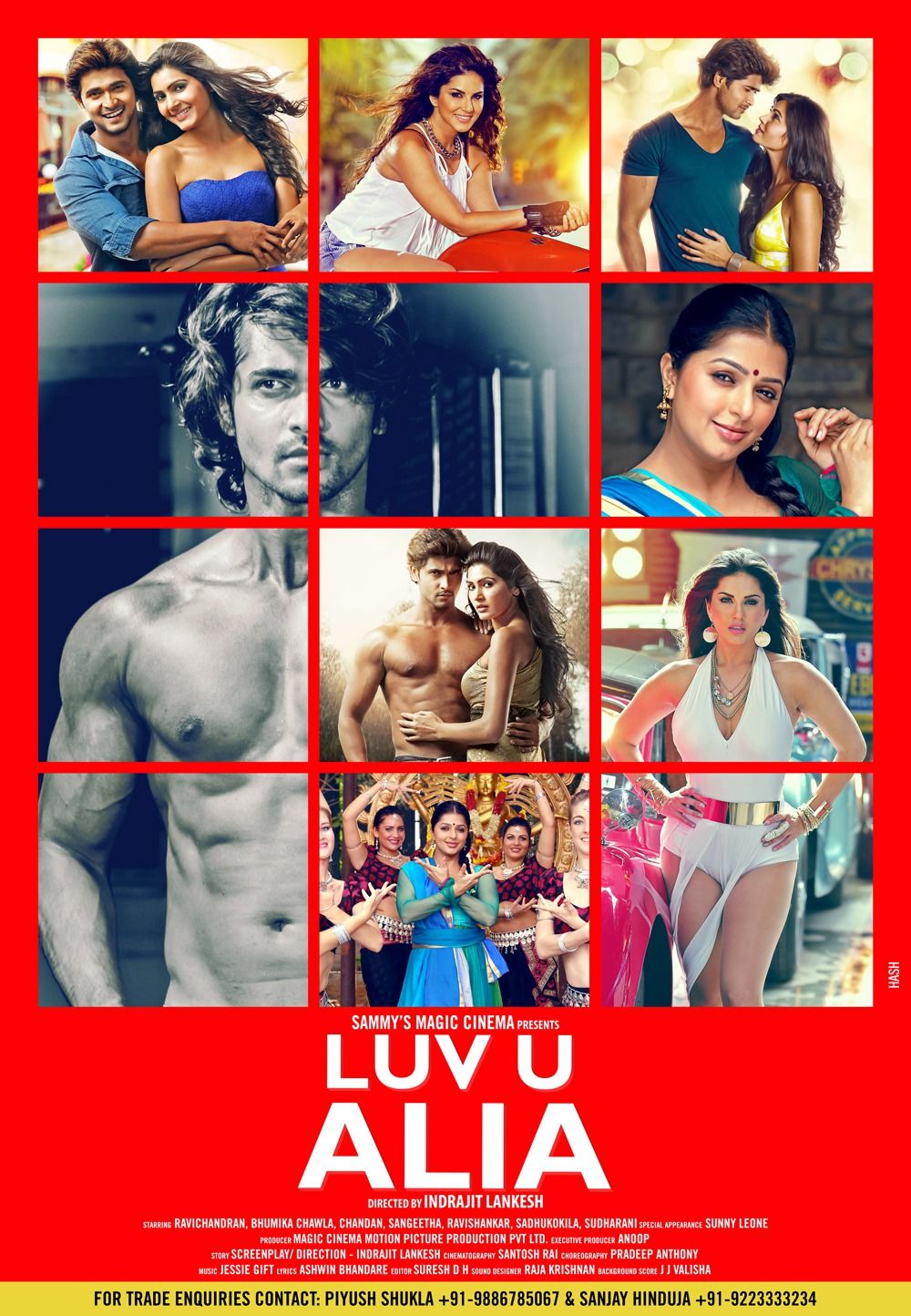 Extra Large Movie Poster Image for Luv U Alia 