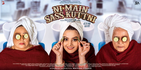 Ni Main Sass Kuttni Movie Poster