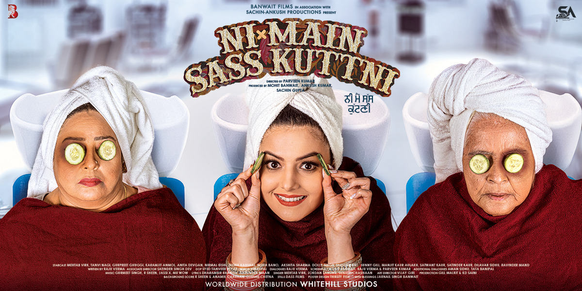 Extra Large Movie Poster Image for Ni Main Sass Kuttni (#3 of 4)