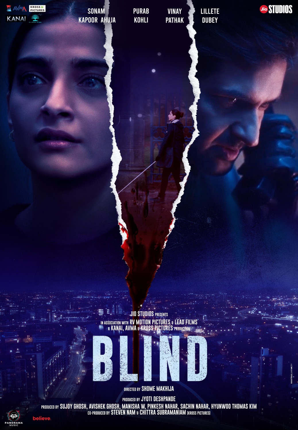 Extra Large Movie Poster Image for Blind (#3 of 3)