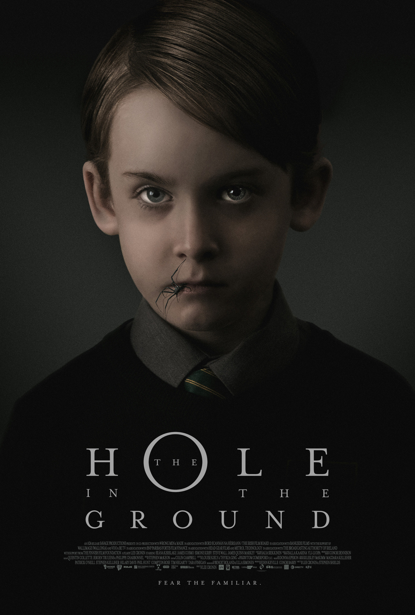 Mega Sized Movie Poster Image for The Hole in the Ground (#1 of 5)