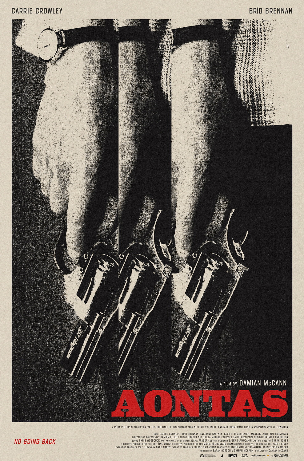 Extra Large Movie Poster Image for Aontas 