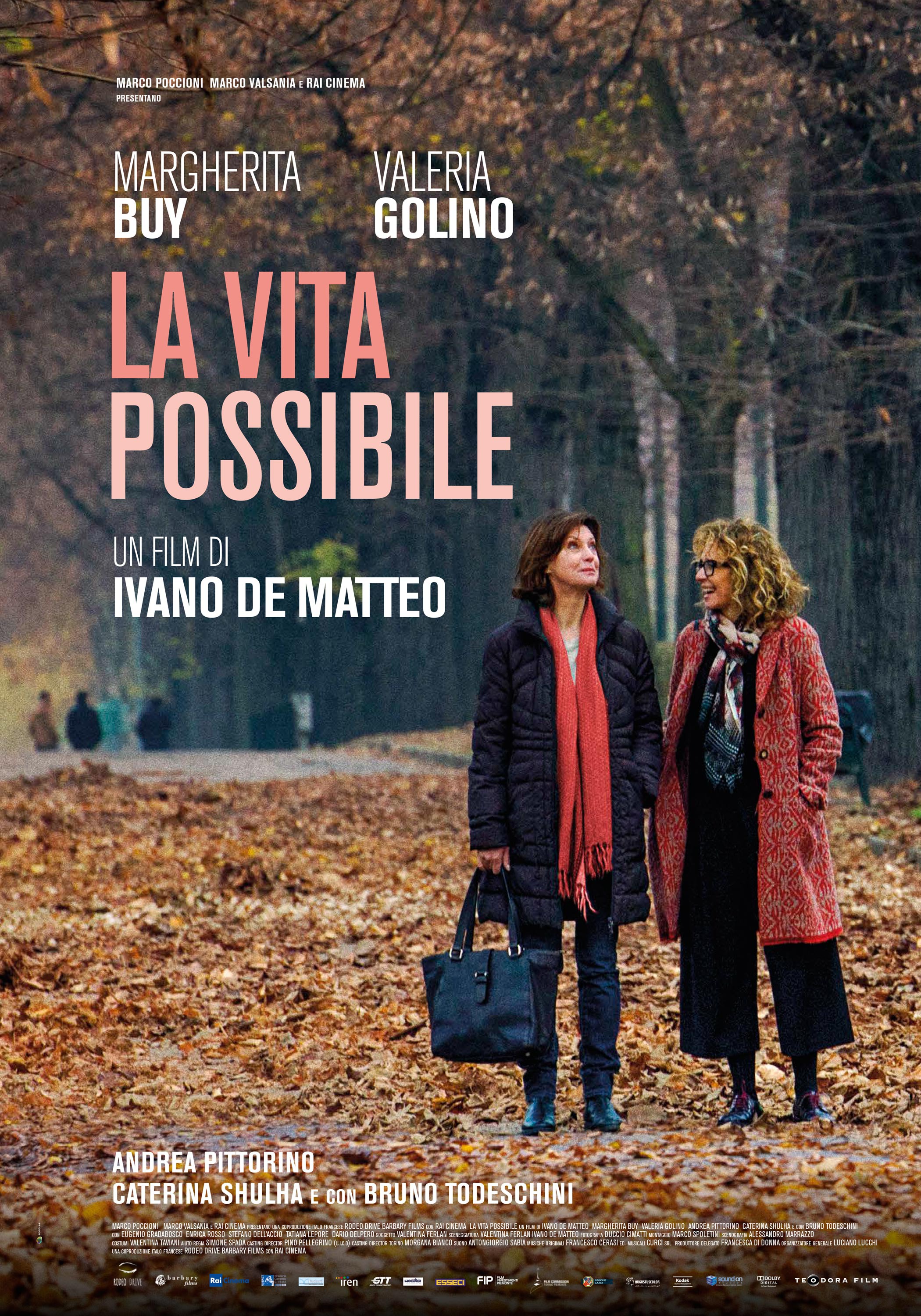 Mega Sized Movie Poster Image for La vita possibile 