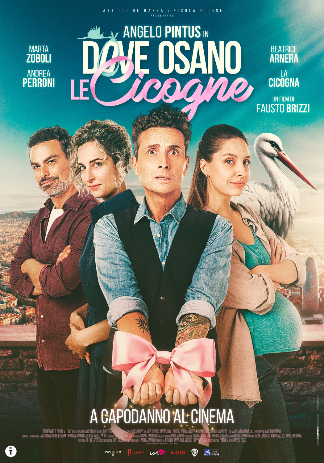 Extra Large Movie Poster Image for Dove osano le cicogne (#2 of 2)