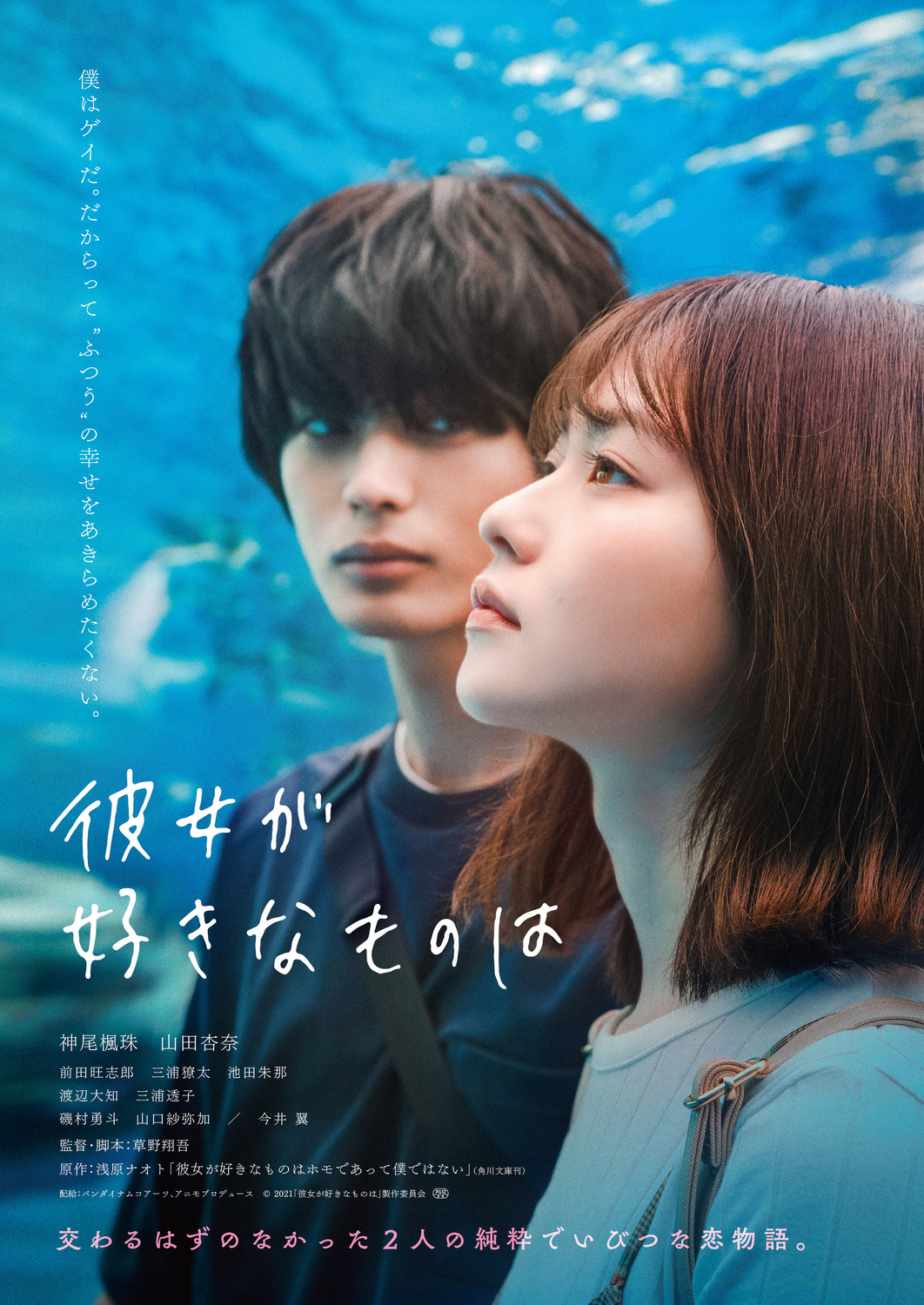 Extra Large Movie Poster Image for Kanojo no sukinamonowa 