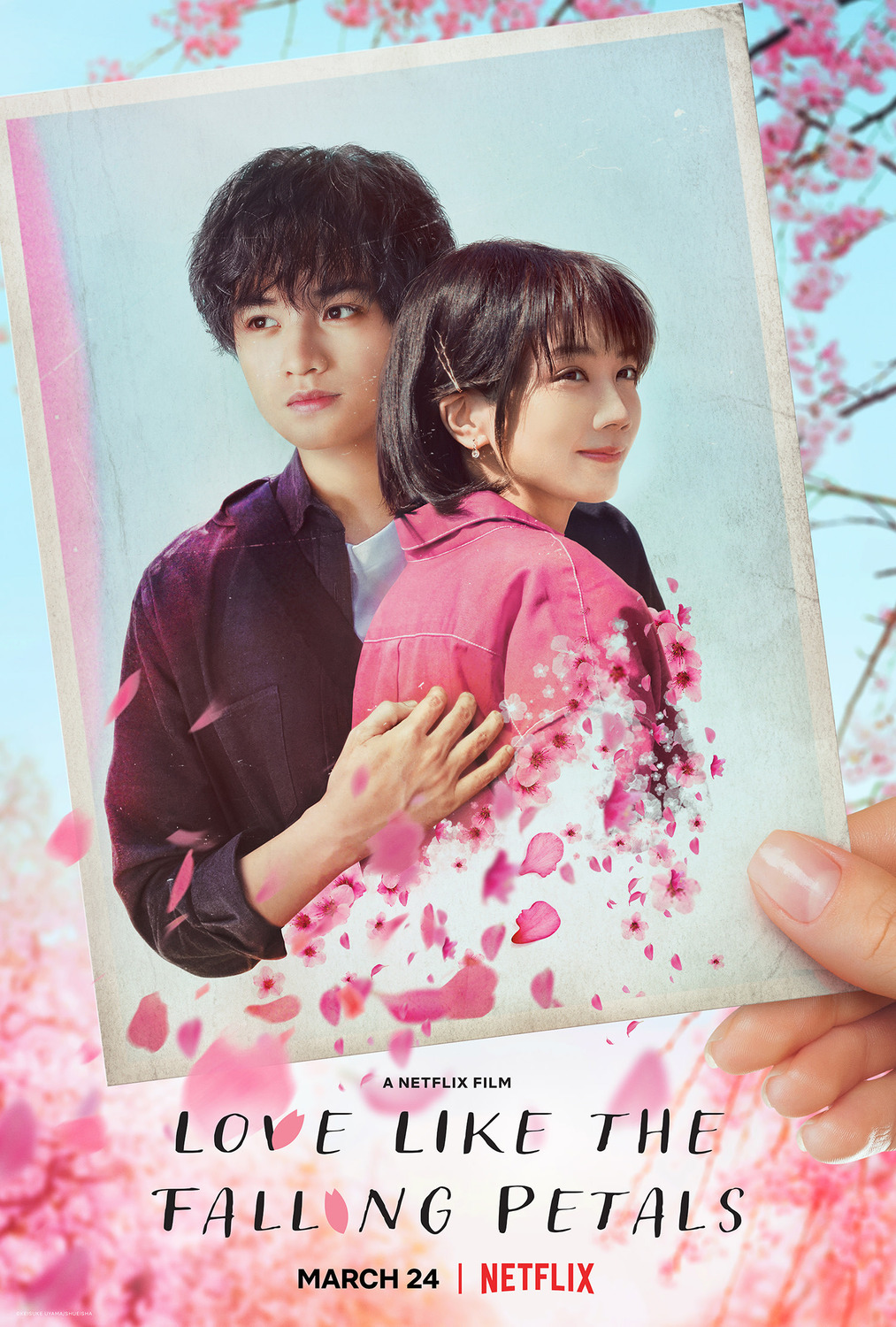 Extra Large Movie Poster Image for Love Like the Falling Petals (#1 of 4)
