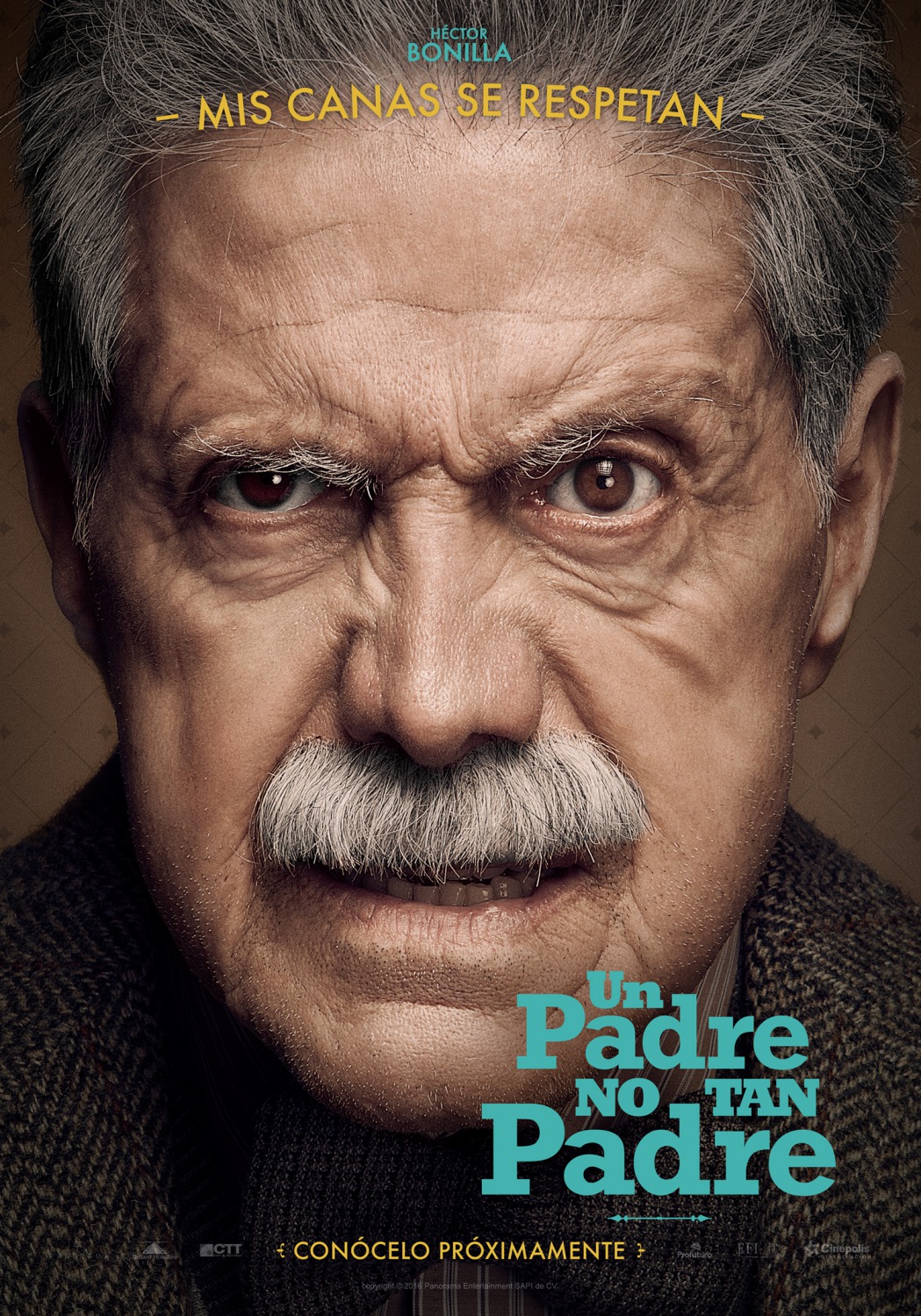 Extra Large Movie Poster Image for Un Padre No Tan Padre (#7 of 8)