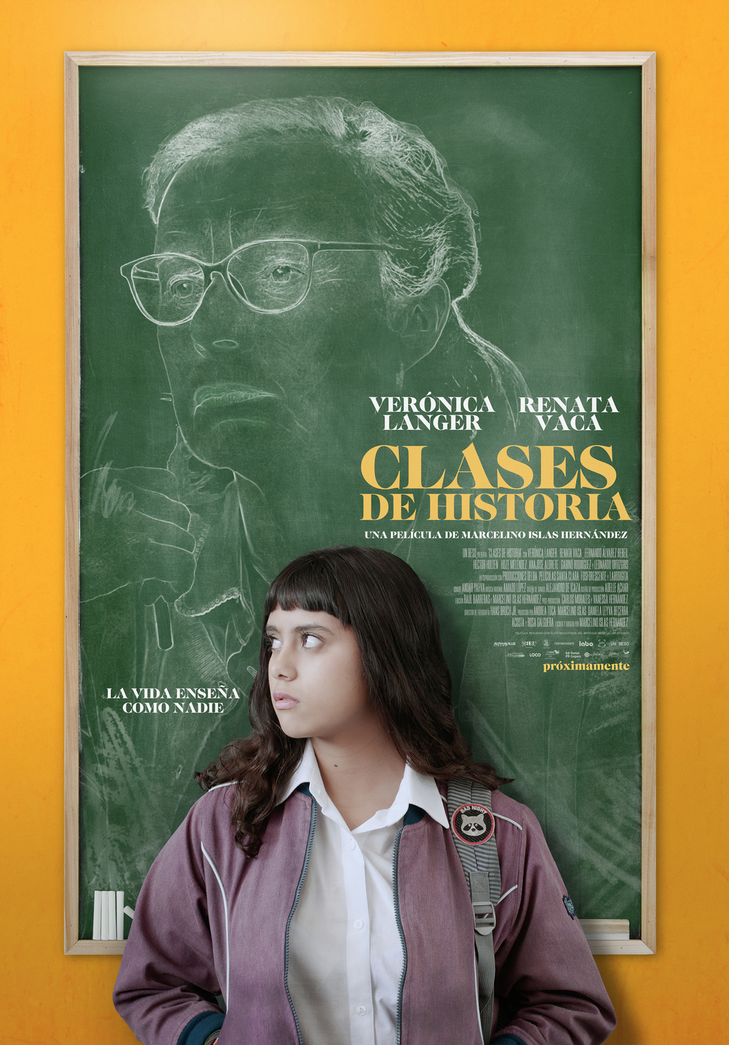 Extra Large Movie Poster Image for Clases de historia 