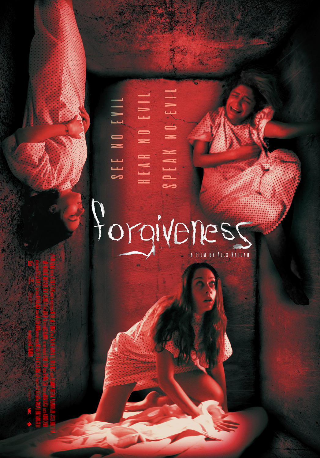 Extra Large Movie Poster Image for Forgiveness (#1 of 3)