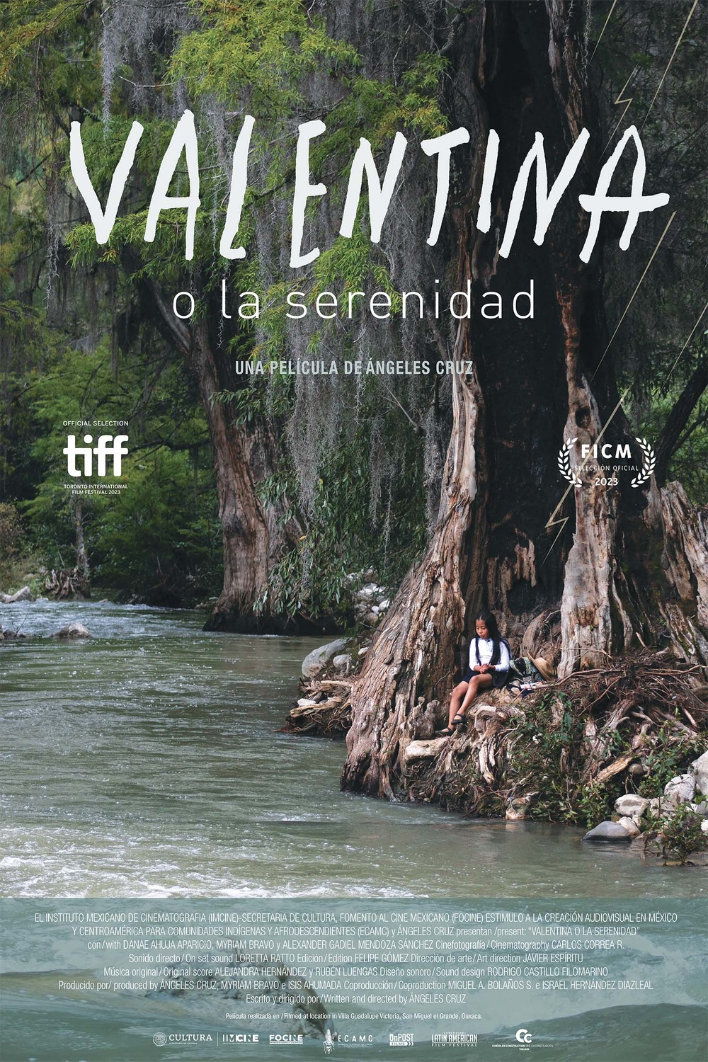 Extra Large Movie Poster Image for Valentina o la serenidad 