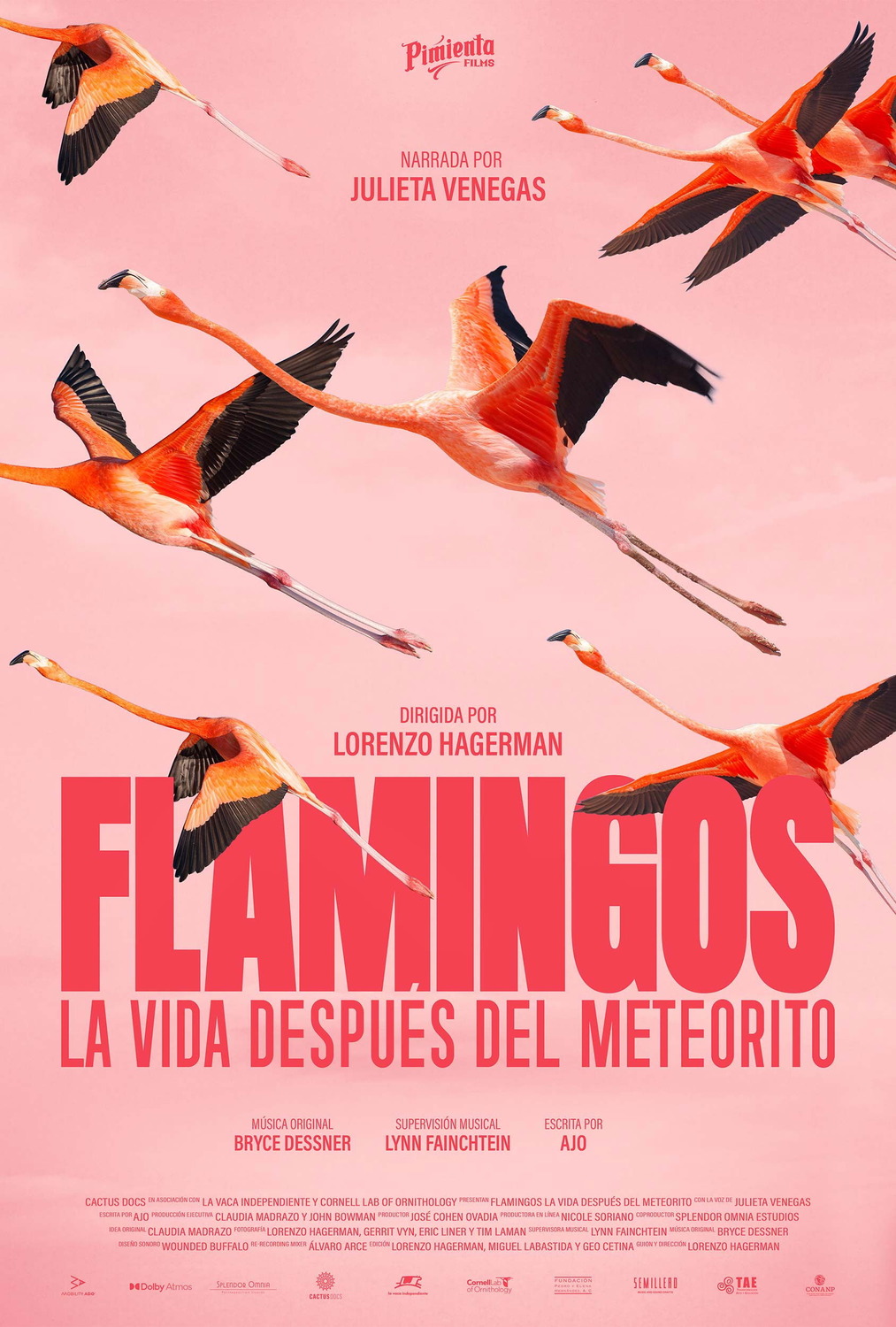 Extra Large Movie Poster Image for FLAMINGOS Life after the meteorite 