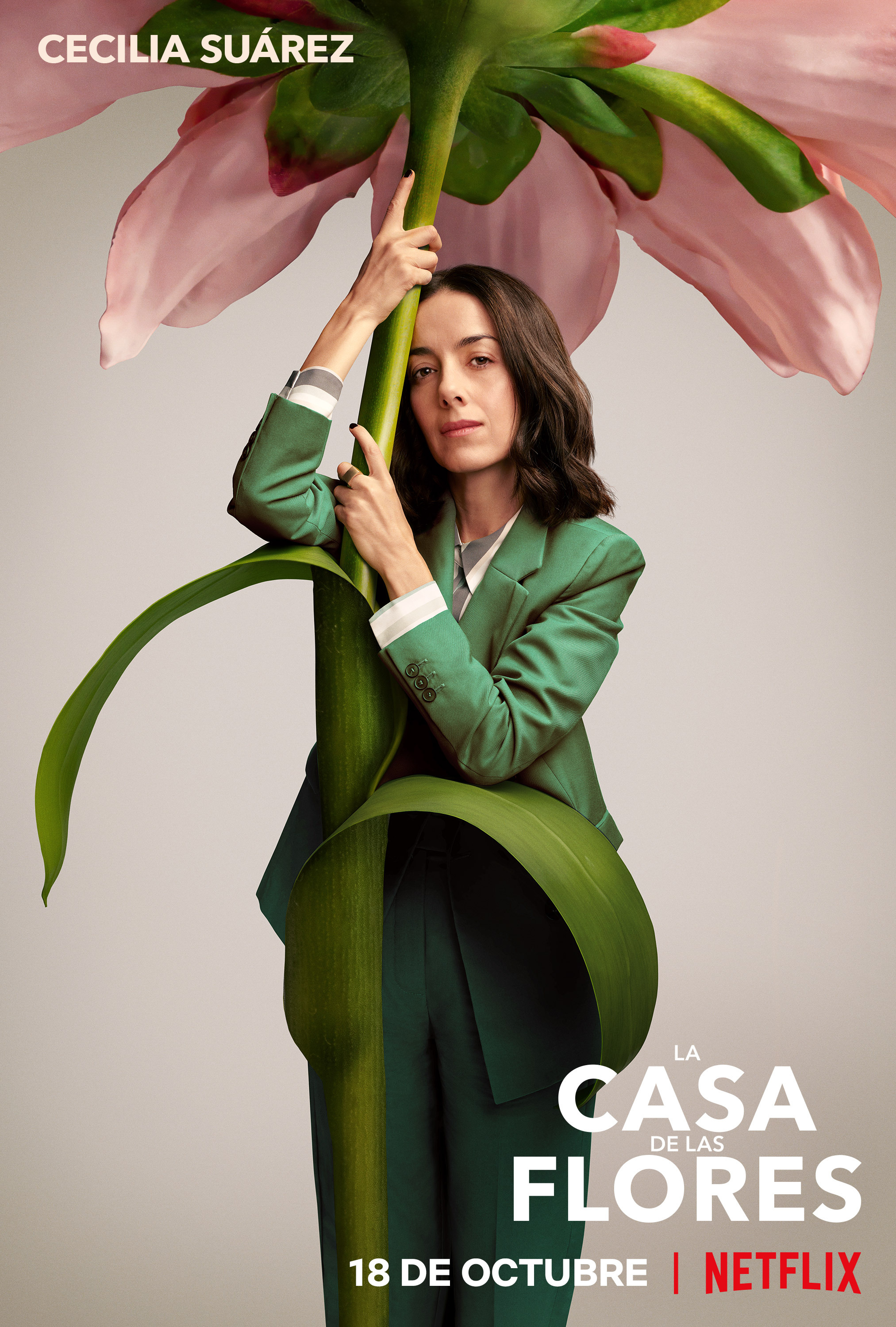 Mega Sized TV Poster Image for La casa de las flores (#13 of 19)