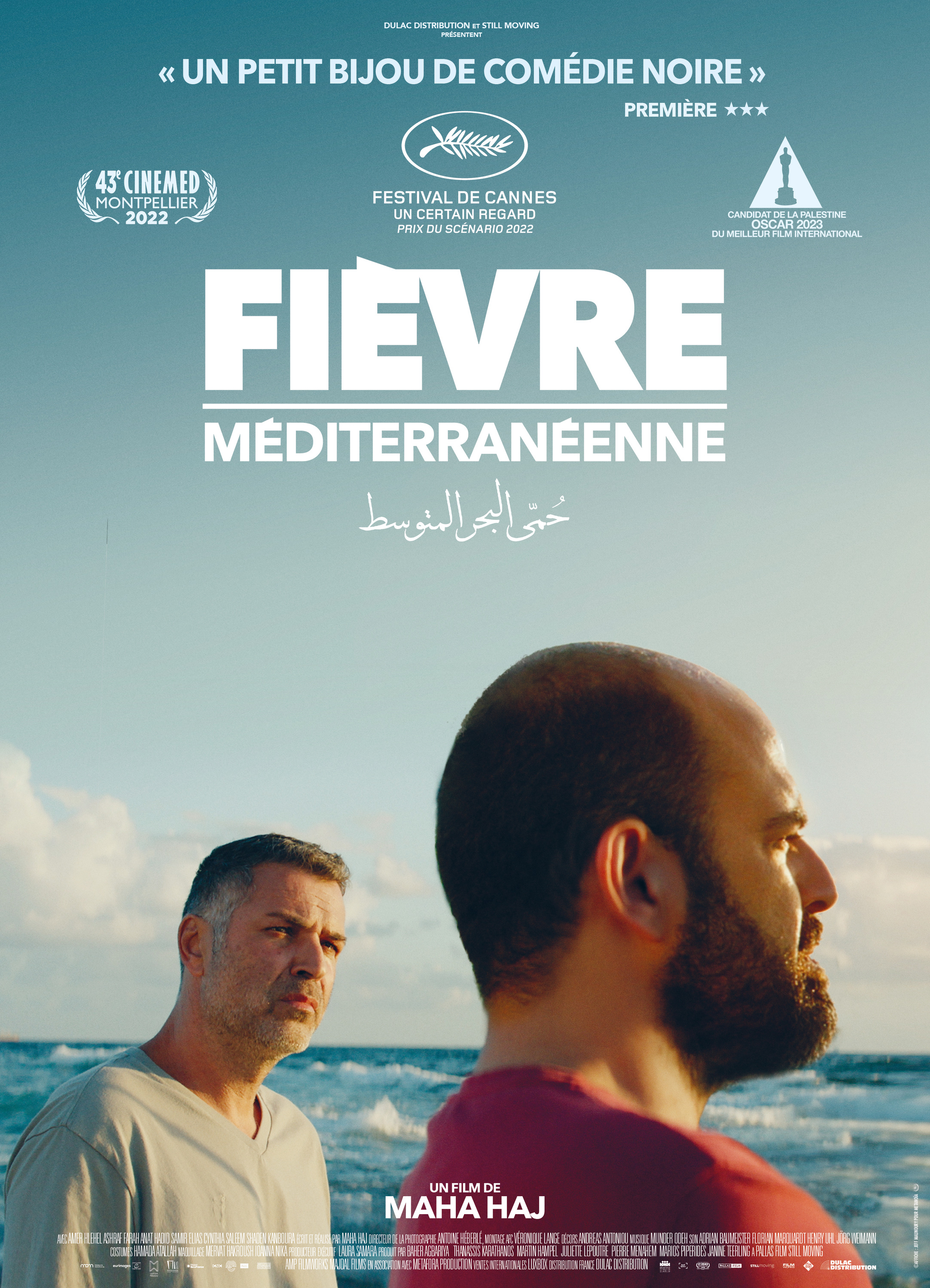 Mega Sized Movie Poster Image for Mediterranean Fever (#2 of 2)