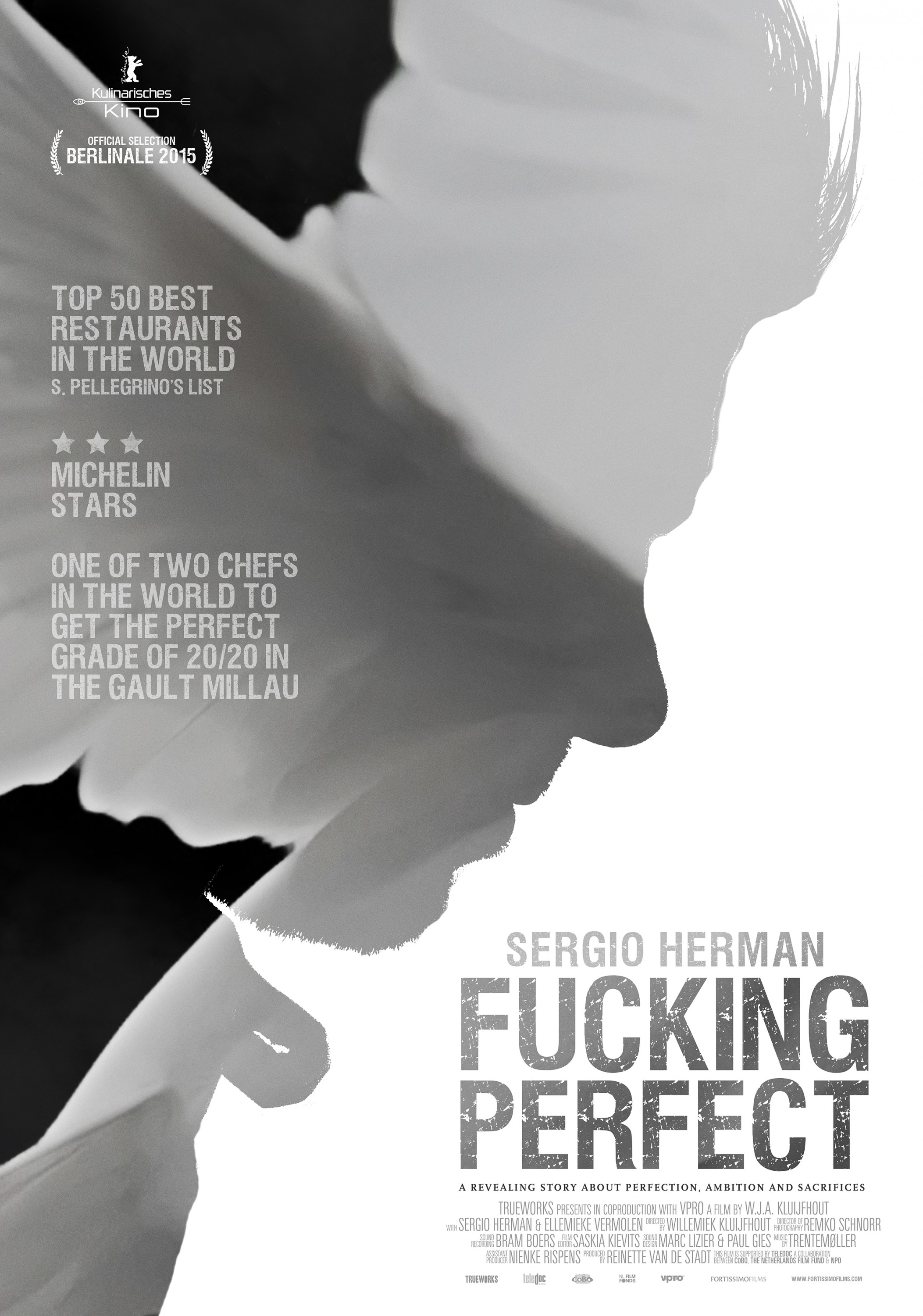 Mega Sized Movie Poster Image for Sergio Herman, Fucking Perfect (#3 of 3)