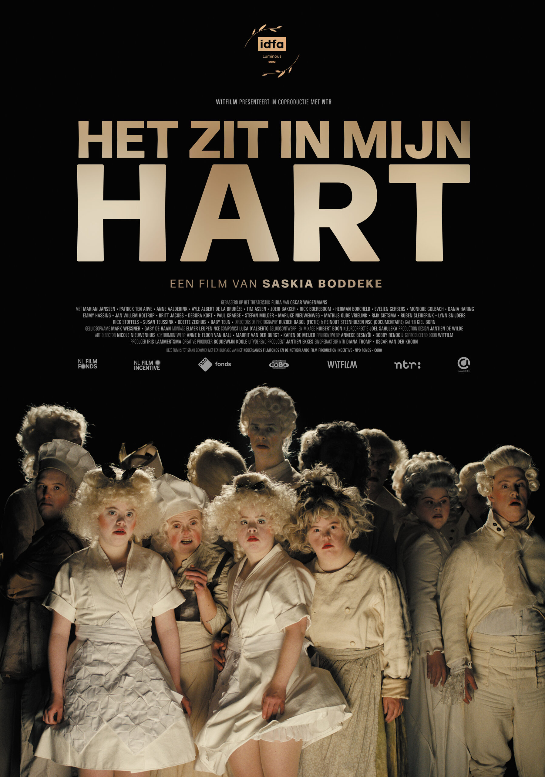 Mega Sized Movie Poster Image for Het zit in mijn hart (#1 of 2)