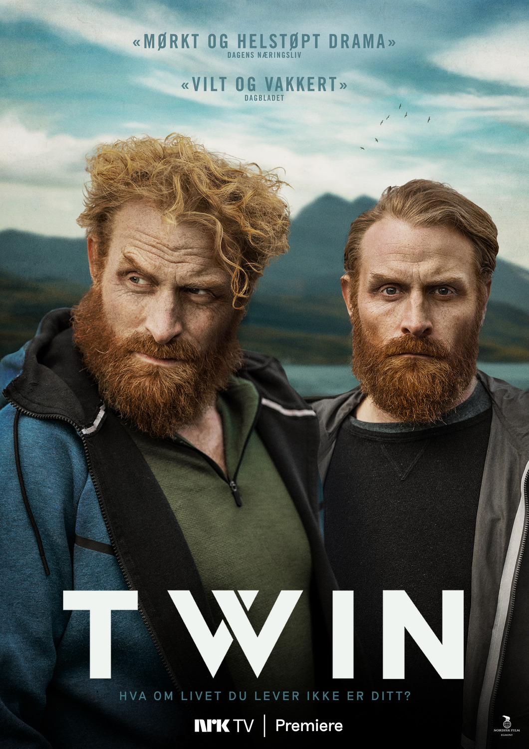 Extra Large TV Poster Image for TWIN 