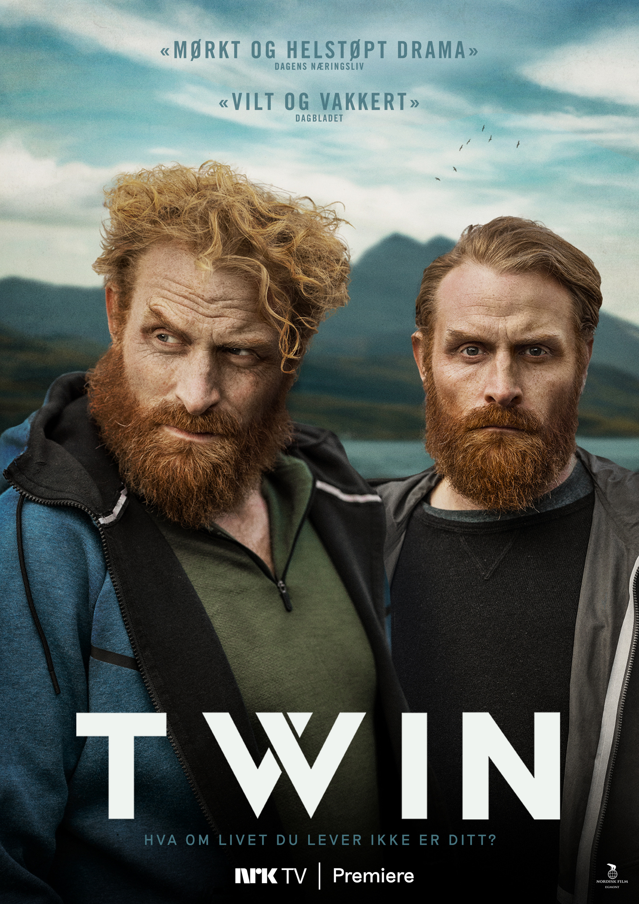 Mega Sized TV Poster Image for TWIN 