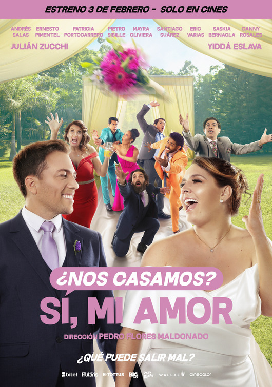 ¿Nos Casamos? Sí, Mi Amor Movie Poster