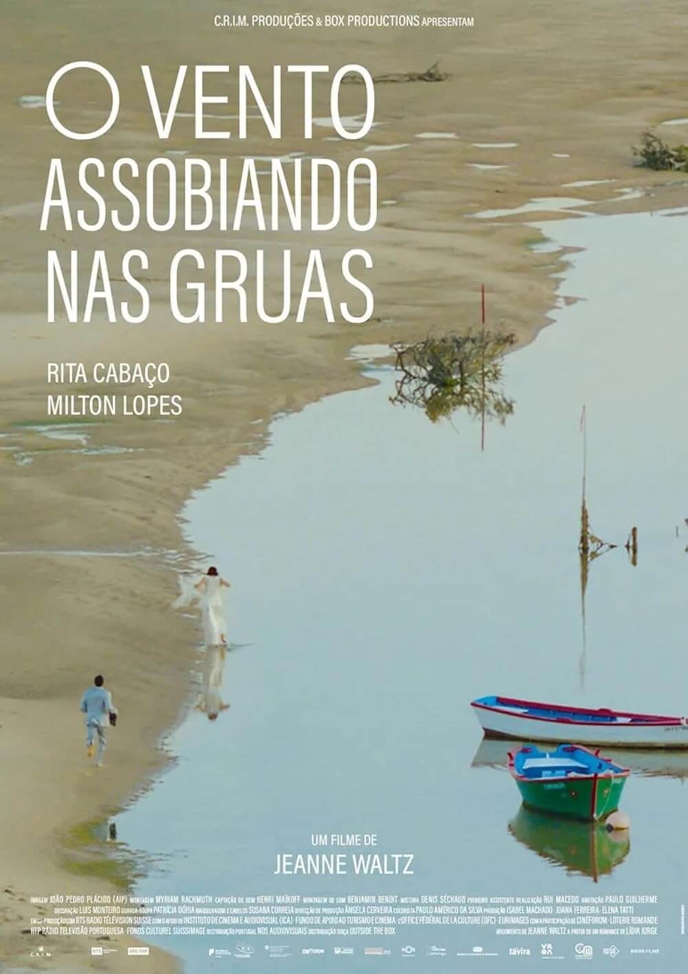 Extra Large Movie Poster Image for O Vento Assobiando nas Gruas (#2 of 2)