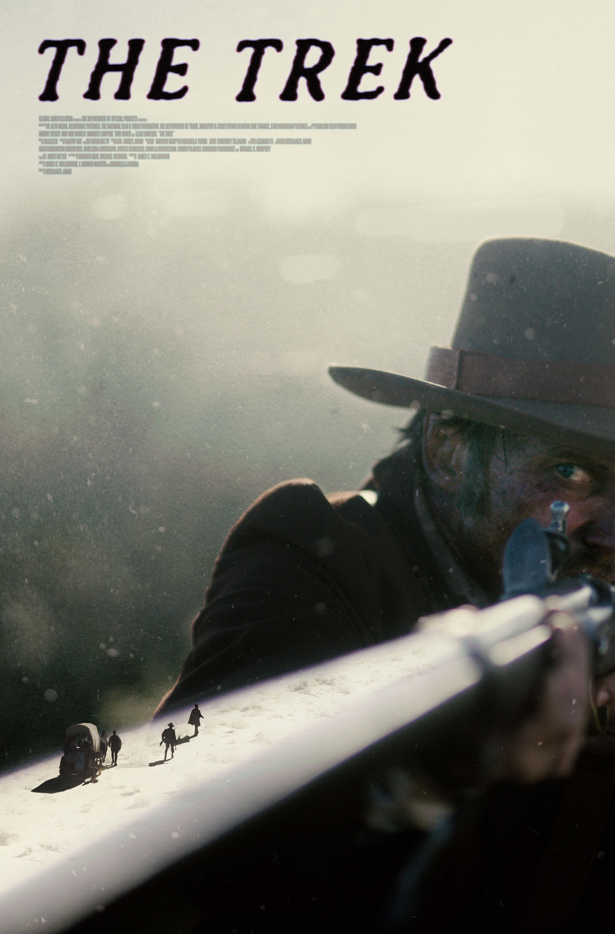 Mega Sized Movie Poster Image for The Trek 