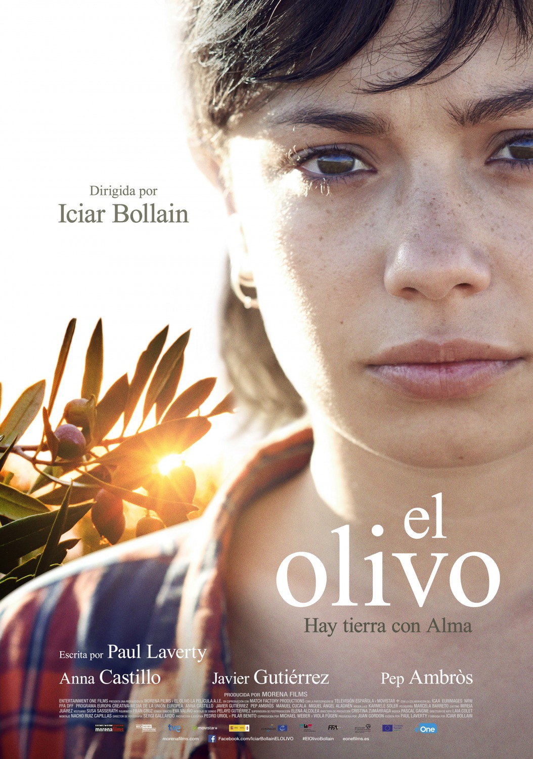 Extra Large Movie Poster Image for El Olivo (#2 of 4)