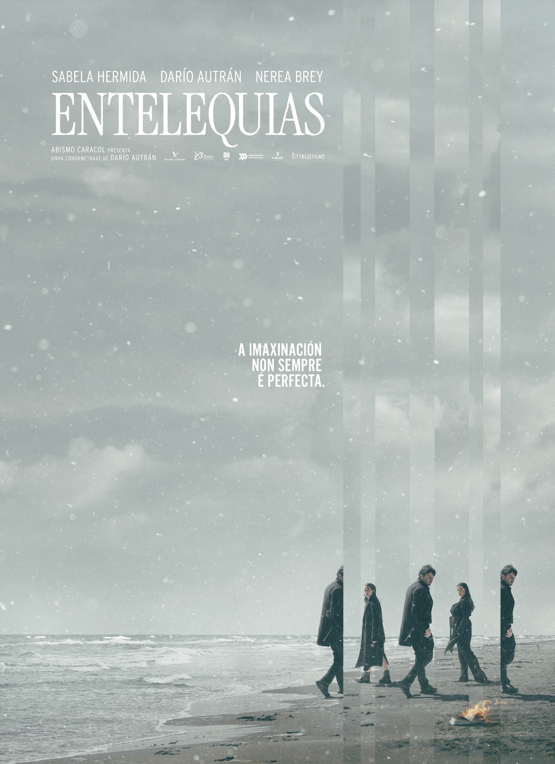 Extra Large Movie Poster Image for Entelequias 